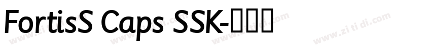 FortisS Caps SSK字体转换 FortisS Caps SSK字体转换